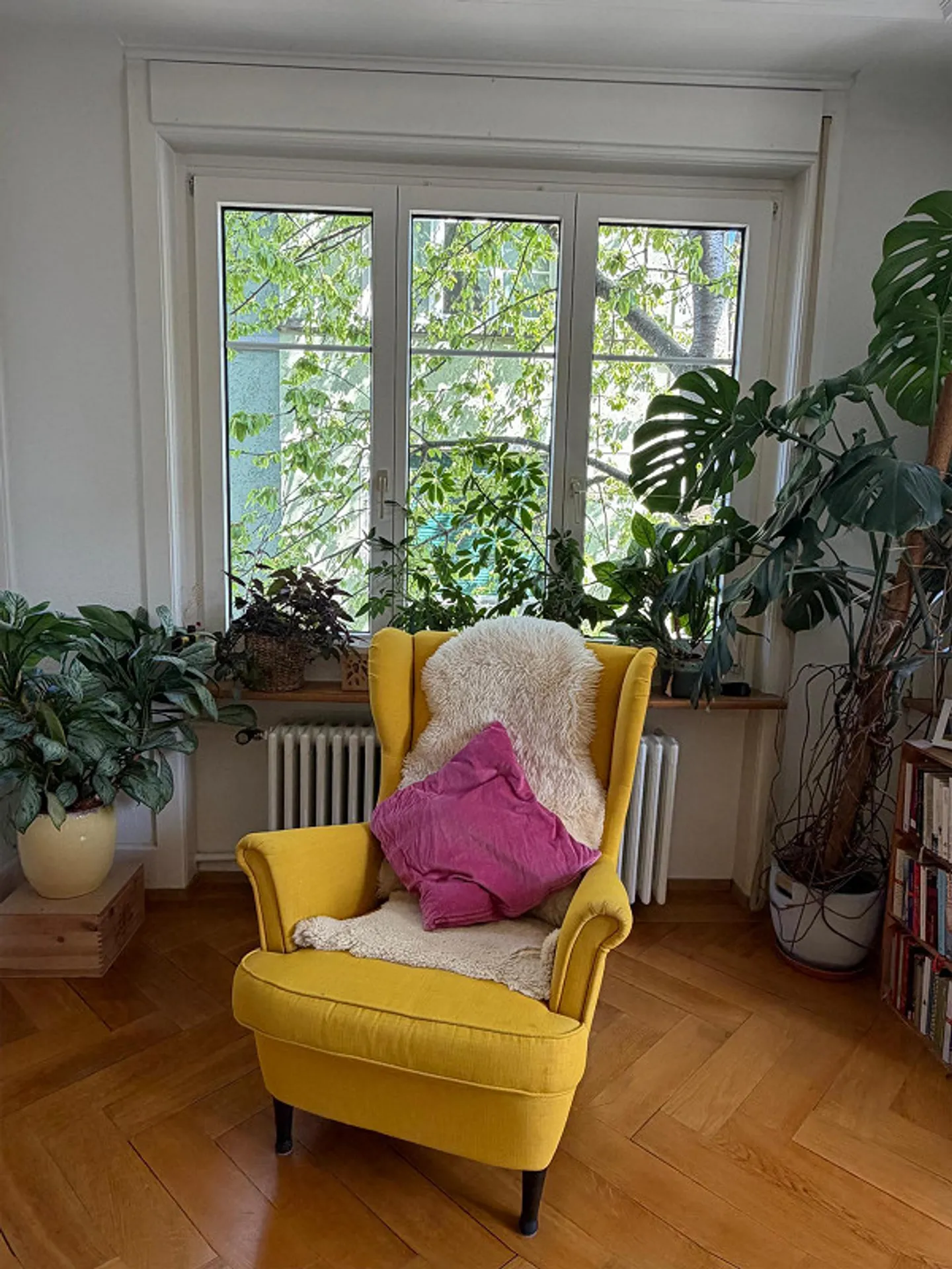 Gemütliche Wohnung in Zürich Wollishofen (17.9-26.11.26 - Foto 1 di 9