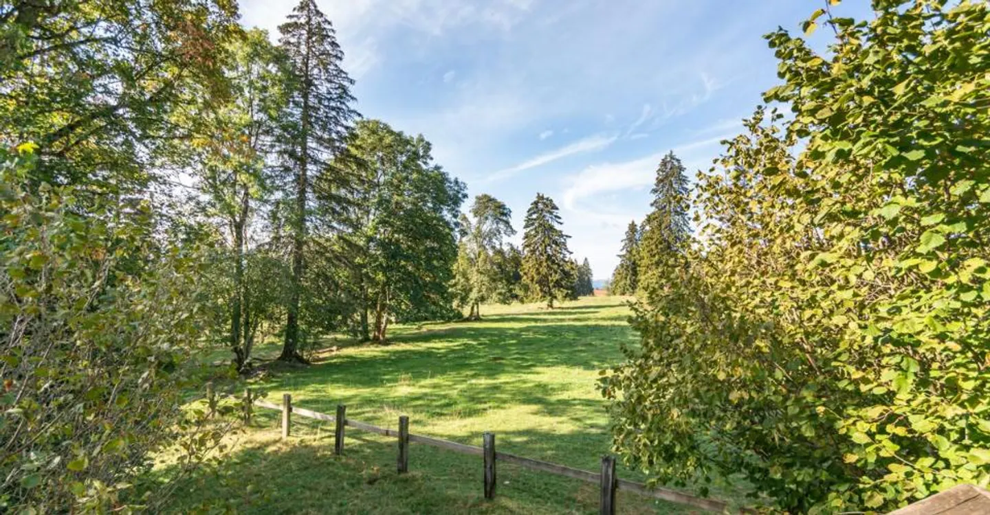 Ein Rückzugsort im Herzen der Jurakämme 2.520 m² Natur - Foto 8 von 8