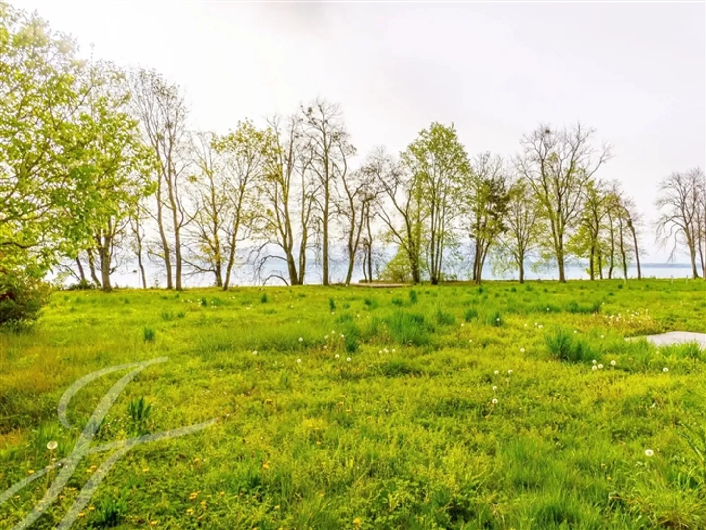 Plot directly on the water of 7,585m2 - Photo 2 of 3