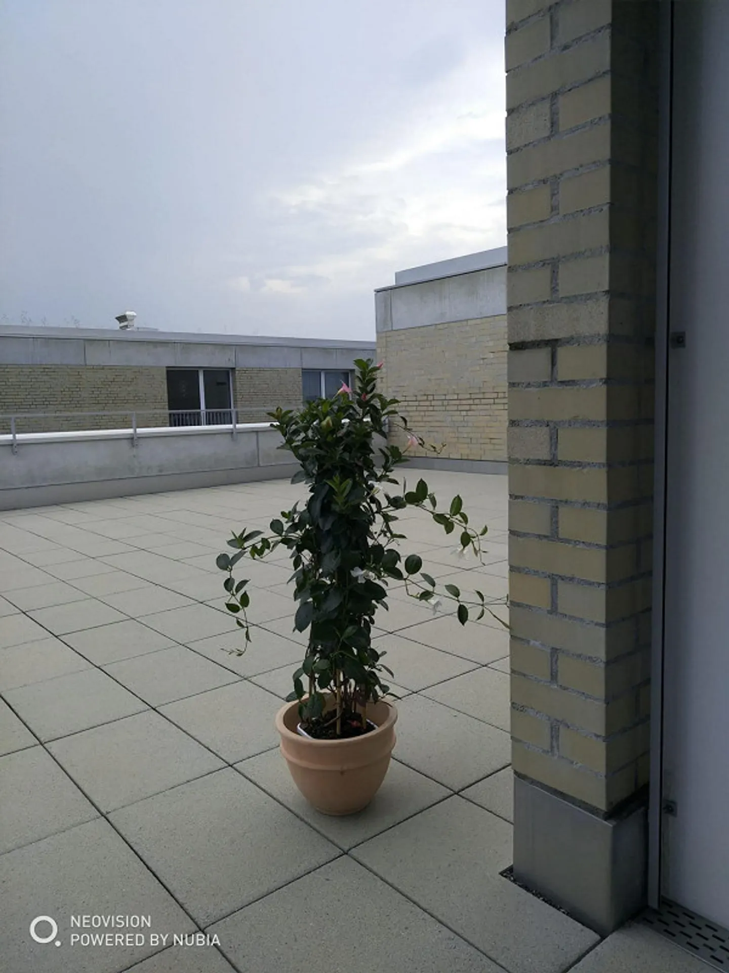Appartamento attico da sogno con 3,5 stanze con grande loggia e terrazza direttamente alla stazione di Suhr - Foto 1 di 8