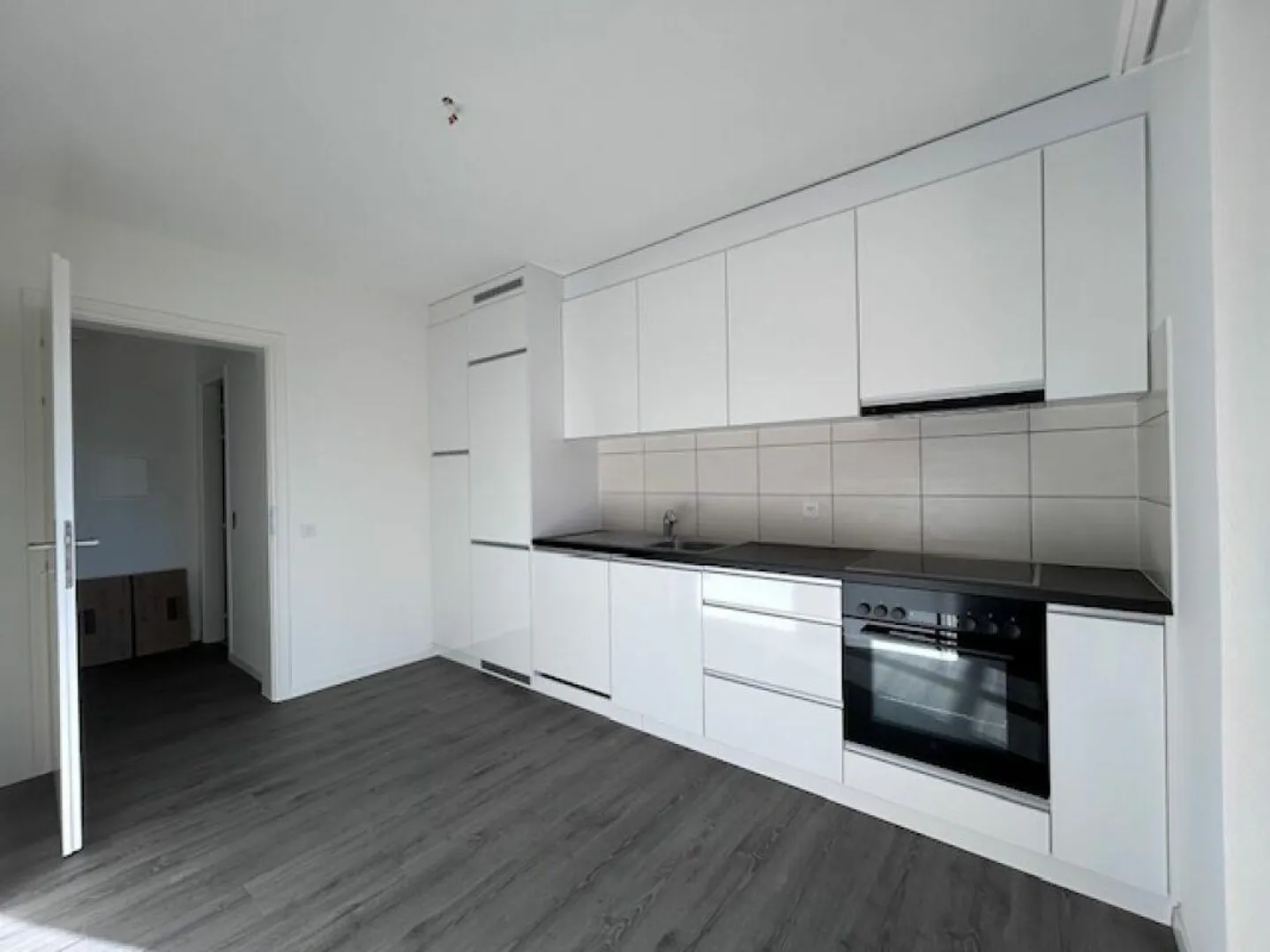 CENTRALE APPARTAMENTO DI 4.5 LOCALI CON CAMINO - COMPLETAMENTE RISTRUTTURATO - Foto 3 di 19