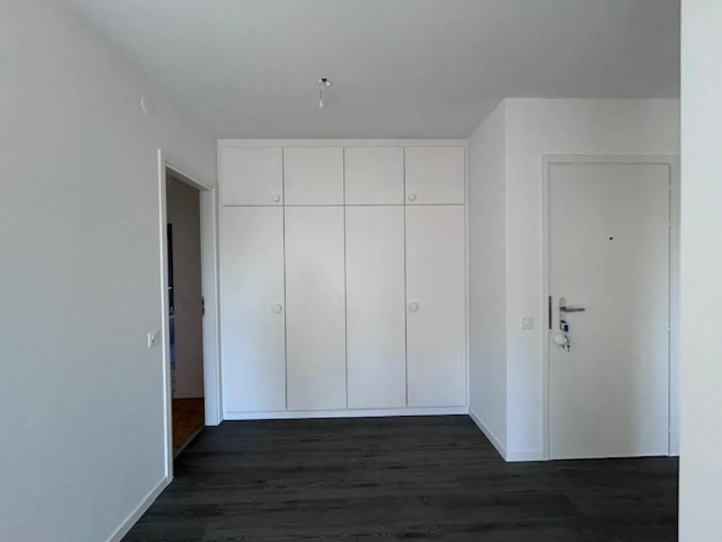 CENTRALE APPARTAMENTO DI 4.5 LOCALI CON CAMINO - COMPLETAMENTE RISTRUTTURATO - Foto 4 di 19