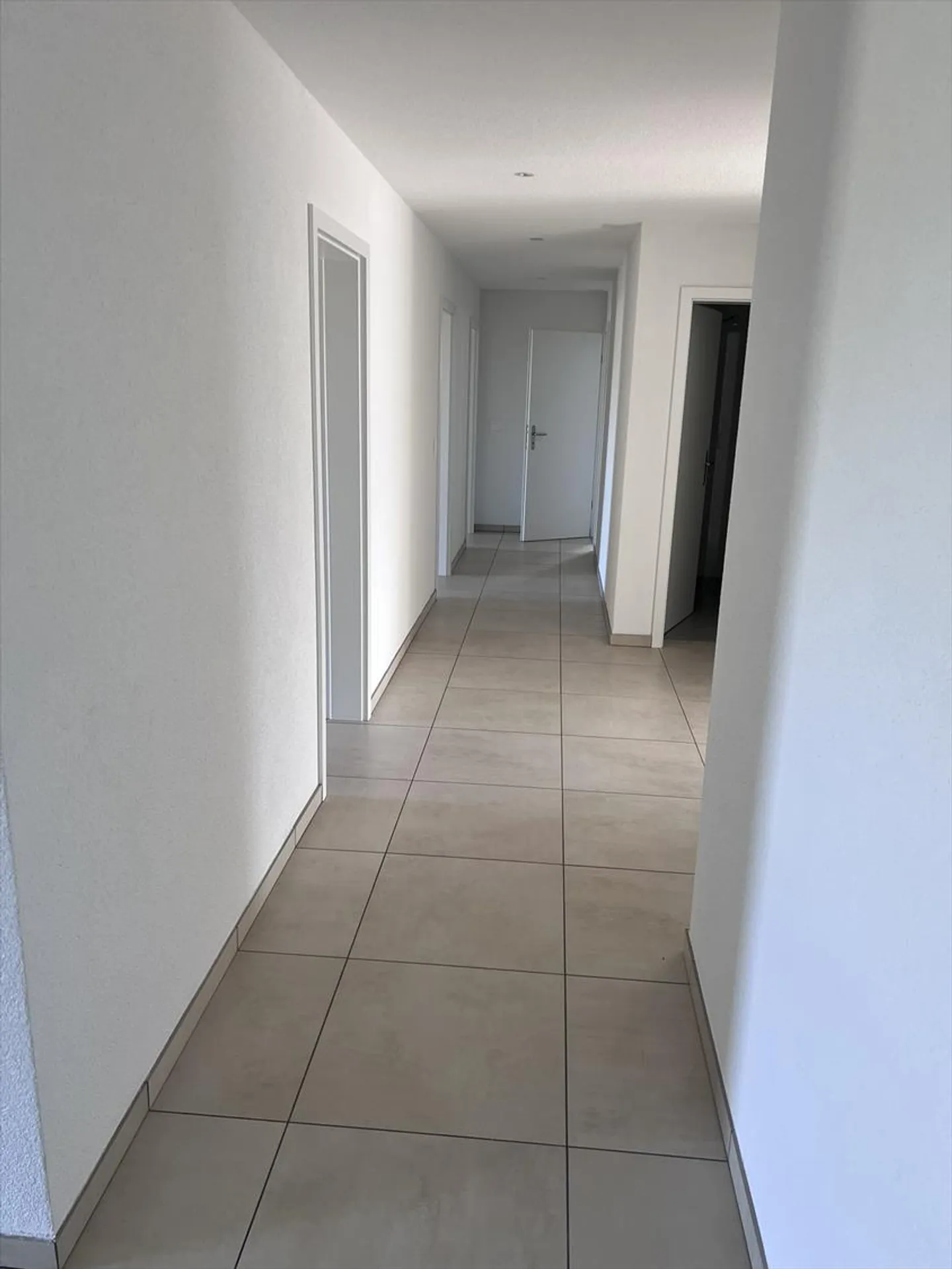 Appartamento 5.5 stanze - Foto 3 di 14