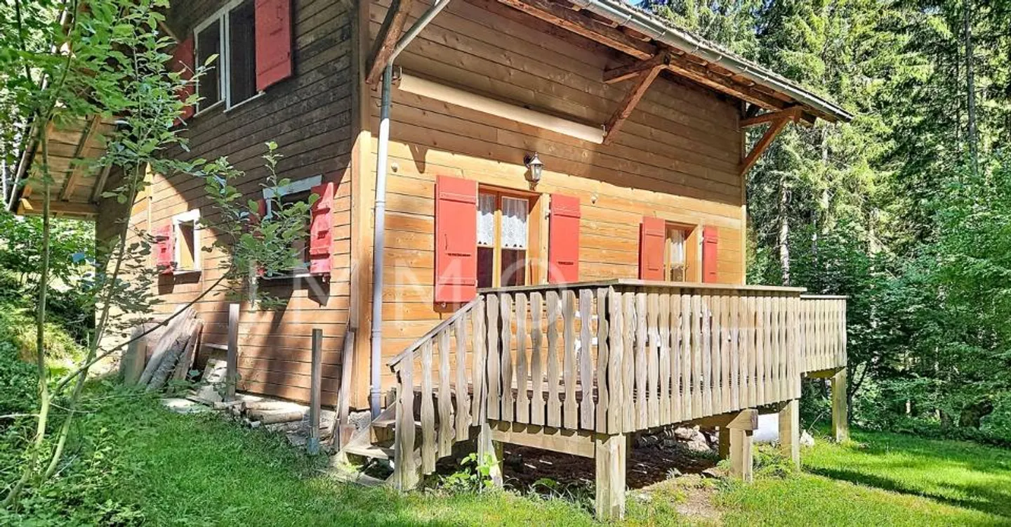 Chalet 4.5 Zimmer - Foto 1 von 10