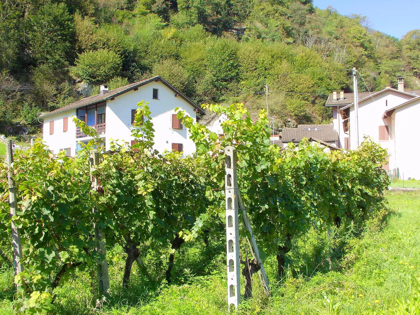 Cooperative New Building Settlement with 1½ - 3½ Room Apartments - Photo 8 of 11