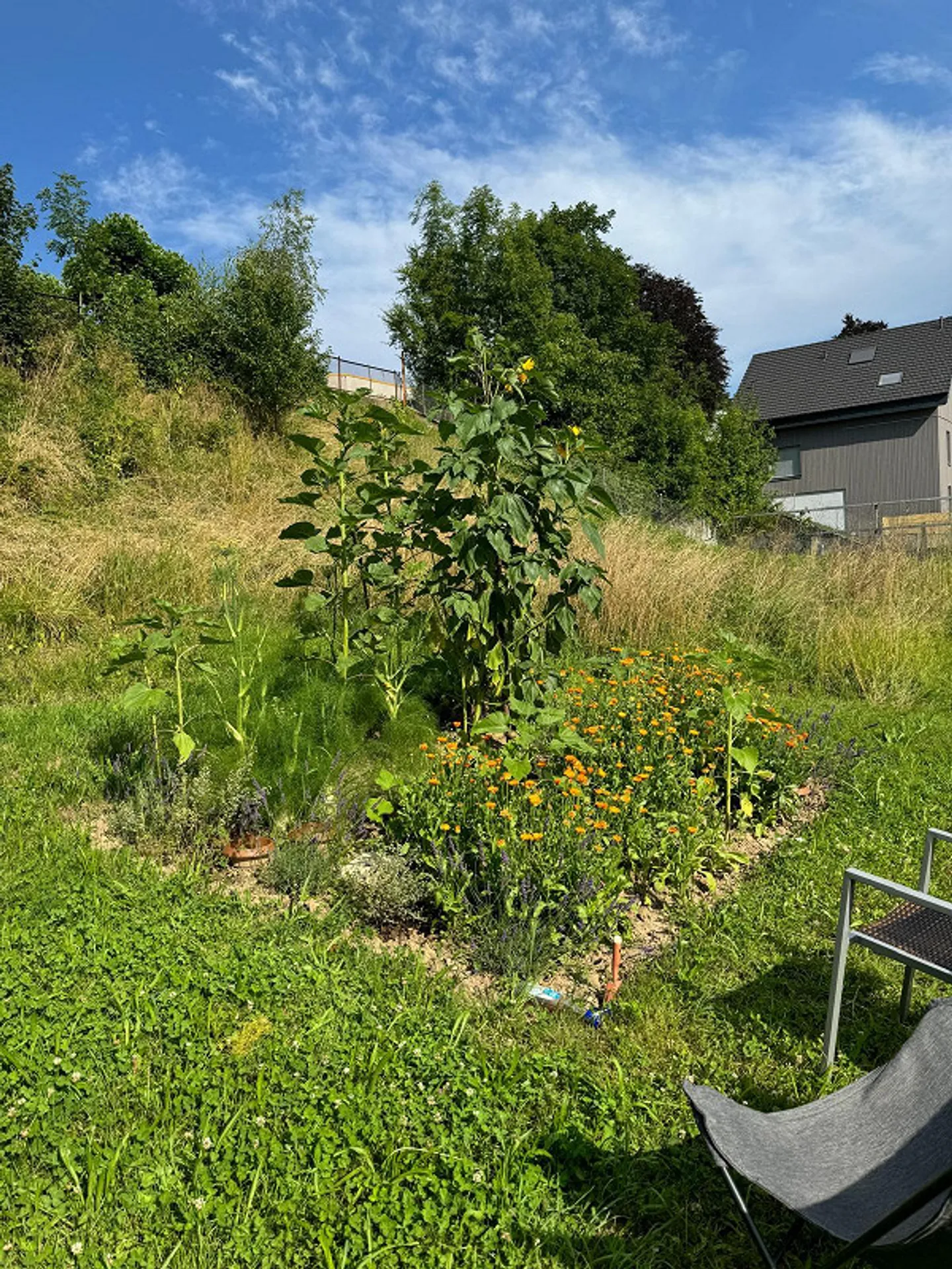 Appartamento condiviso in una fattoria con grande giardino - Foto 7 di 7