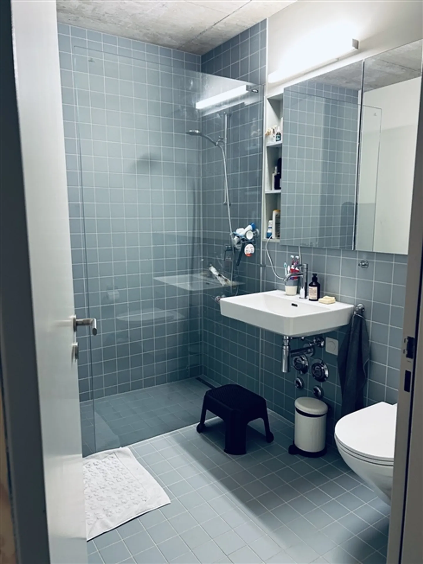 Appartamento 4½ locali a Berna, arredato, temporaneo - Foto 10 di 10