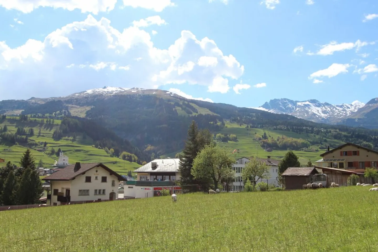 Grande lotto edificabile - Foto 4 di 7