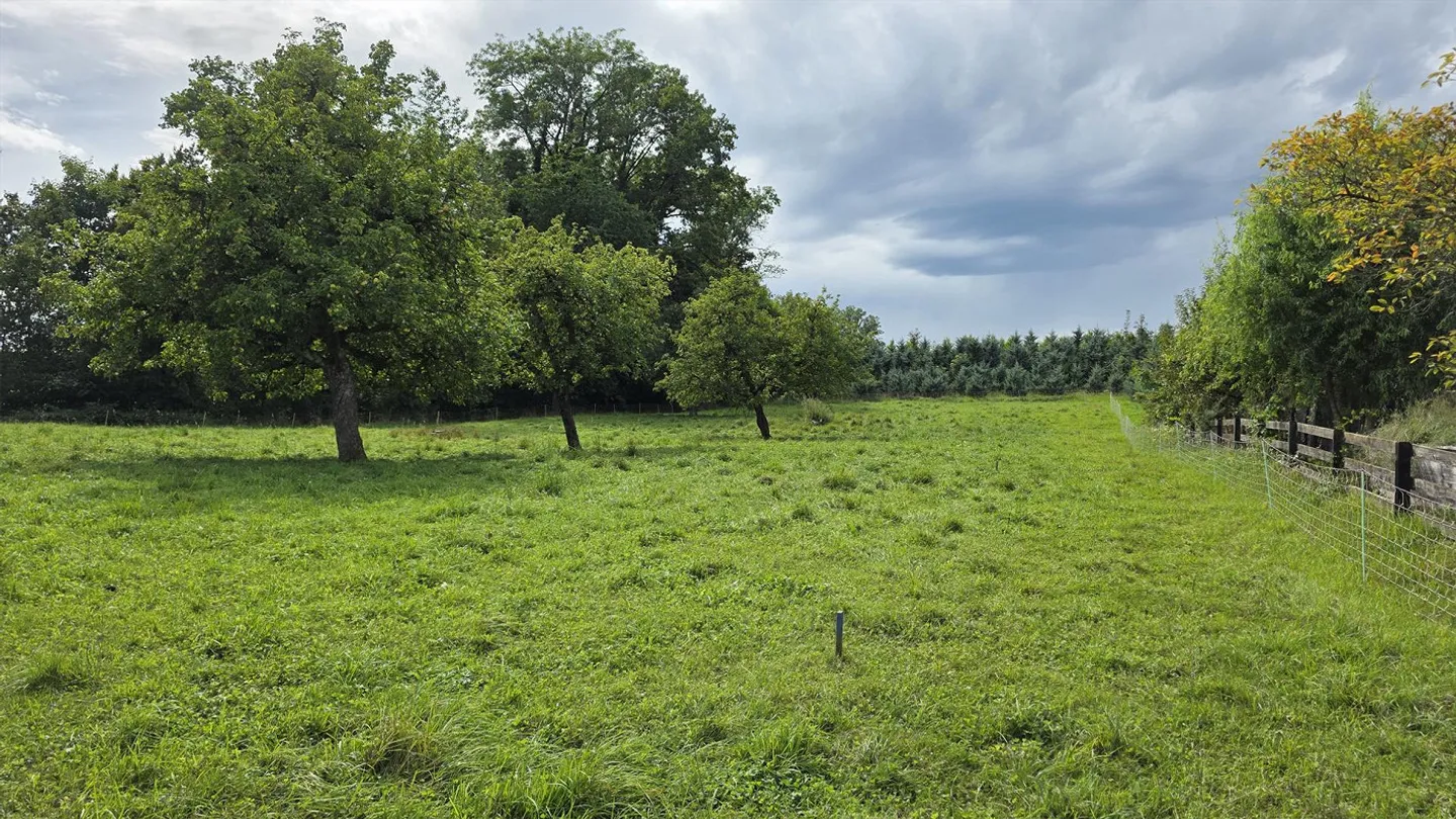 Terrain résidentiel avec part de zone agricole, idéal pour les amoureux des chevaux - Photo 2 sur 4