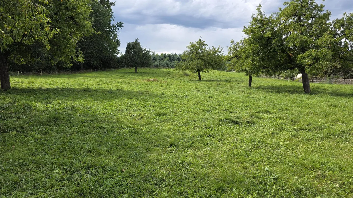 Terrain résidentiel avec part de zone agricole, idéal pour les amoureux des chevaux - Photo 3 sur 4