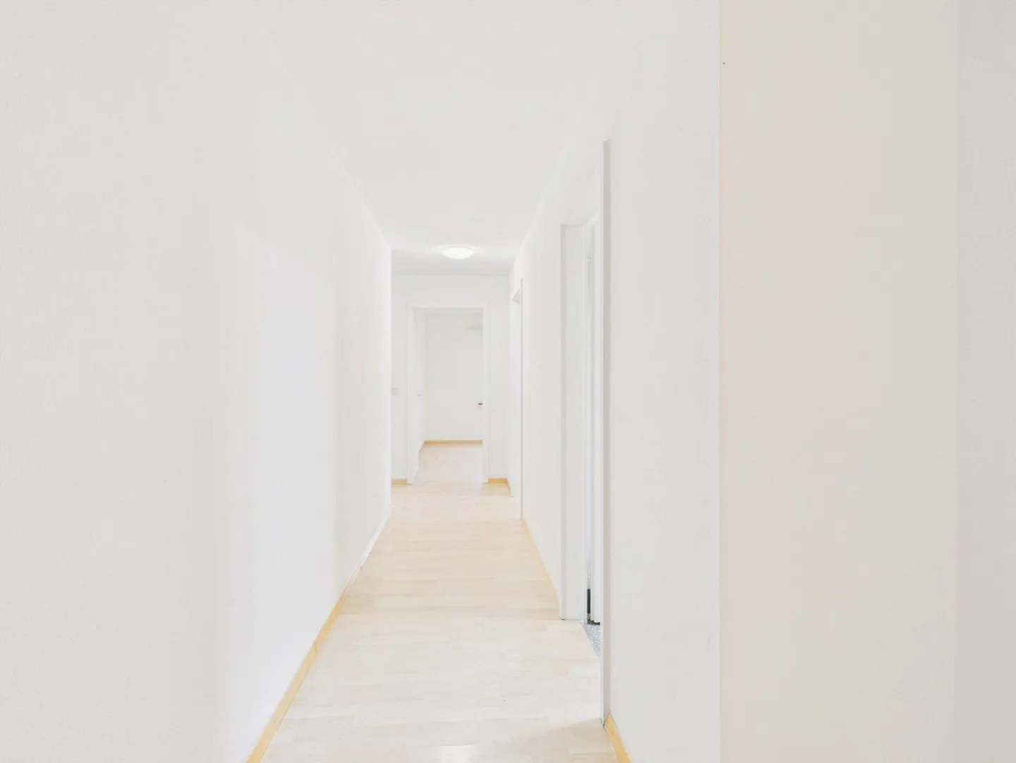 Bright and spacious 3-room apartment in Wynau, Canton BE - Photo 7 of 8