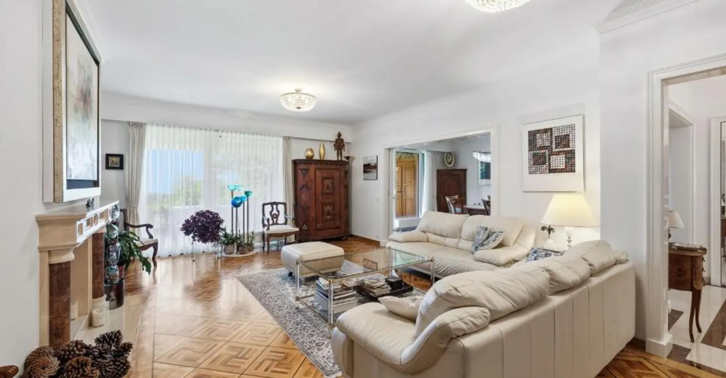 GRANDE APPARTAMENTO SULLE ALTEZZE DI LAUSANNE - Foto 4 di 11