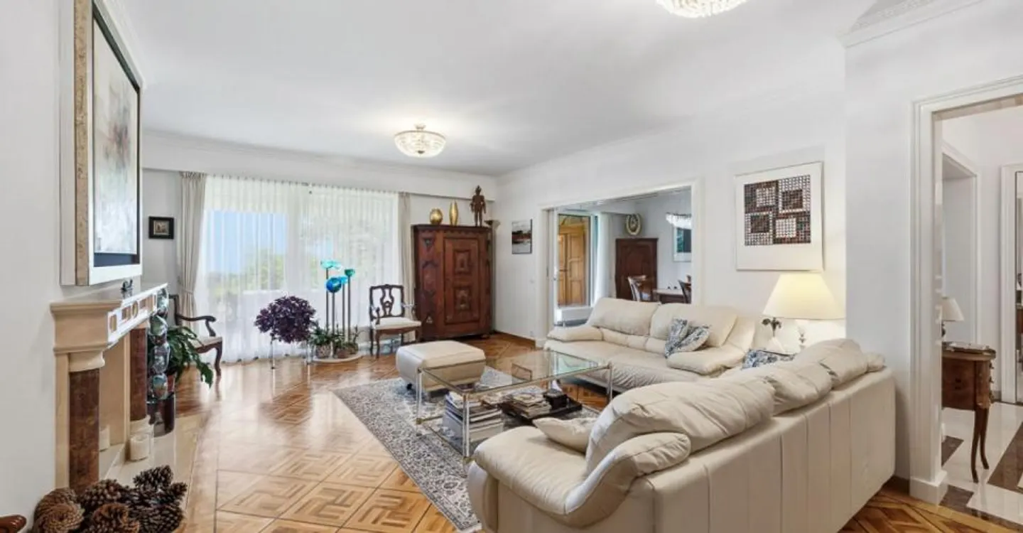 GRANDE APPARTAMENTO SULLE ALTEZZE DI LAUSANNE - Foto 3 di 11