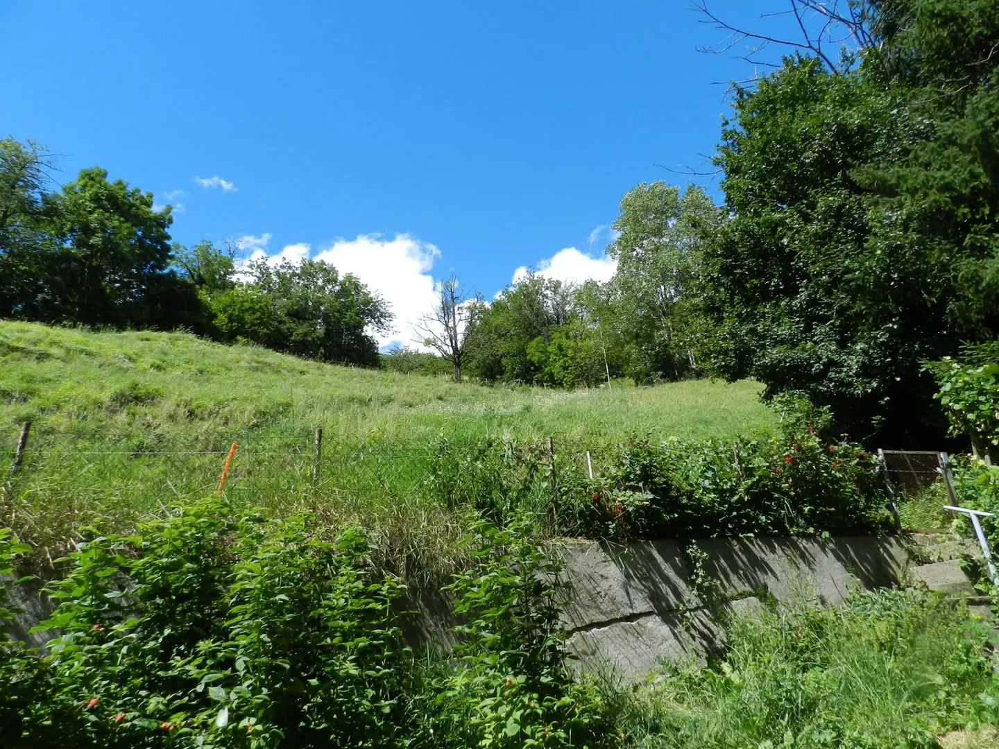 Erhöhtes Baugrundstück über den Dächern von Naters - Foto 7 von 9