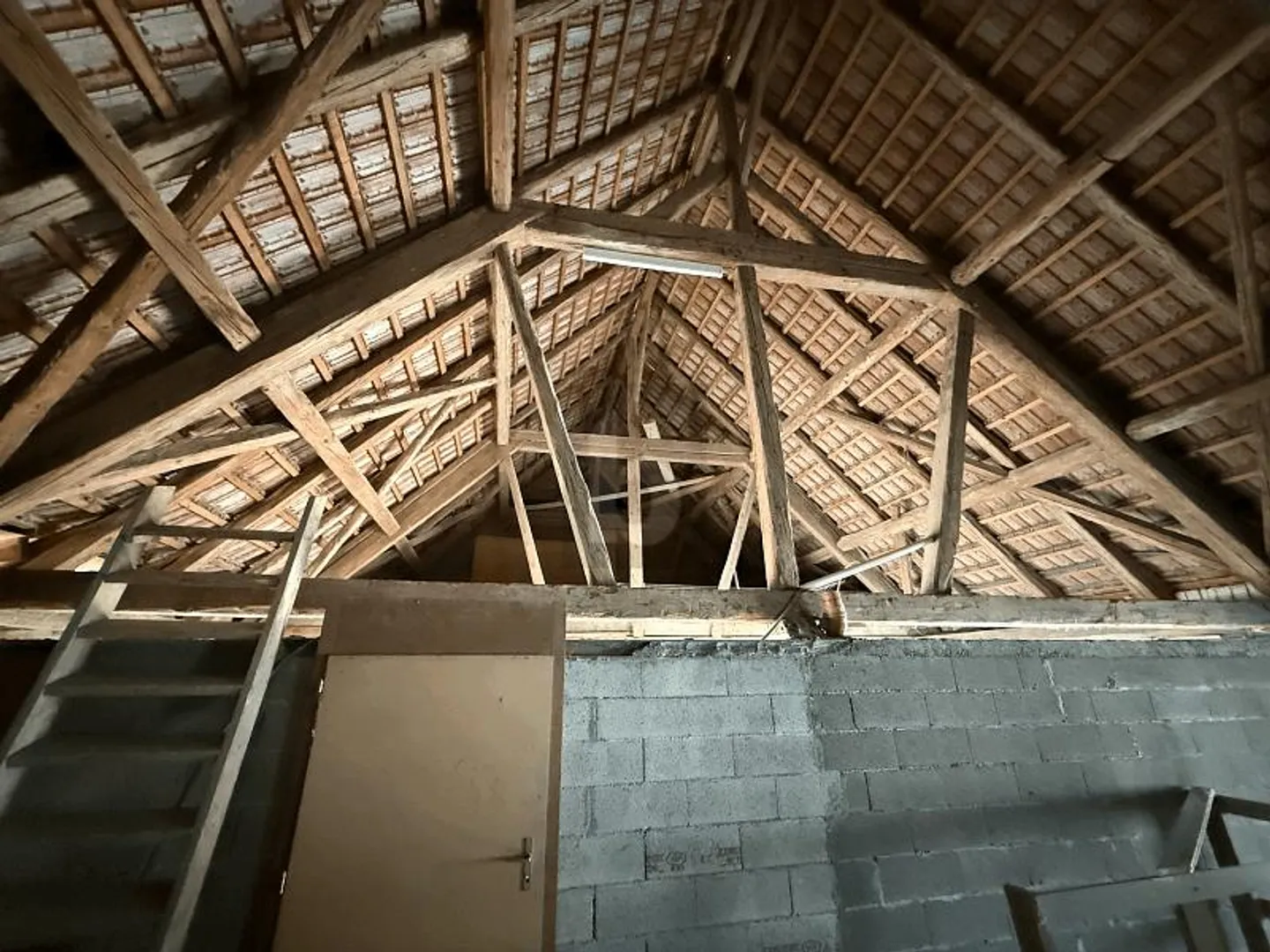 ALERTE INVESTISSEUR - Photo 5 sur 6