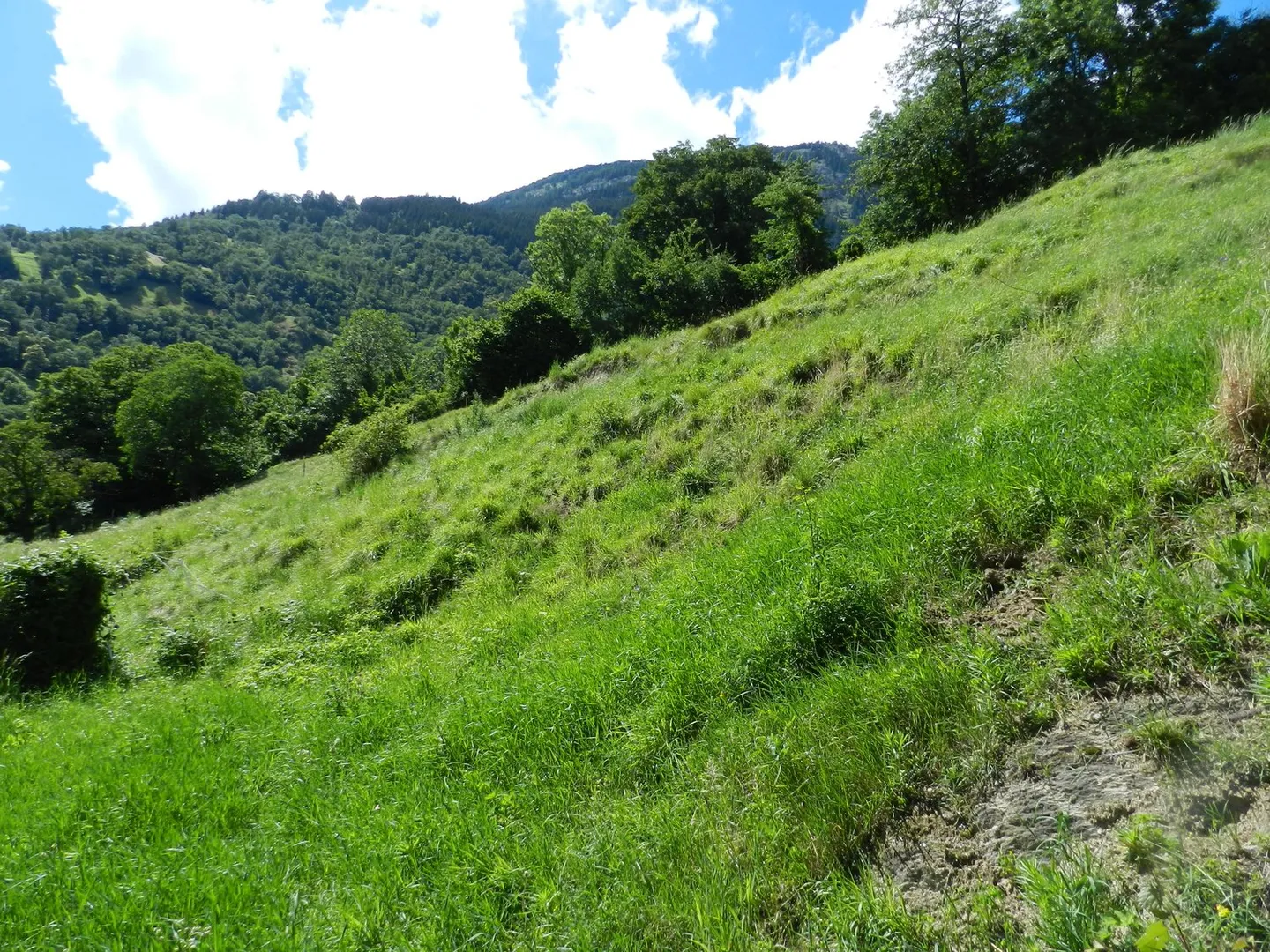 Erhöhtes Baugrundstück über den Dächern von Naters - Foto 5 von 9