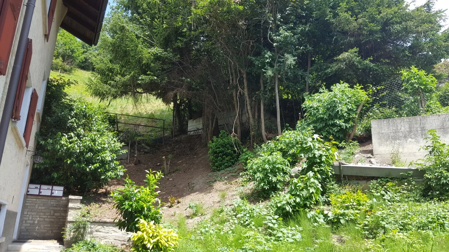 Erhöhtes Baugrundstück über den Dächern von Naters - Foto 6 von 9