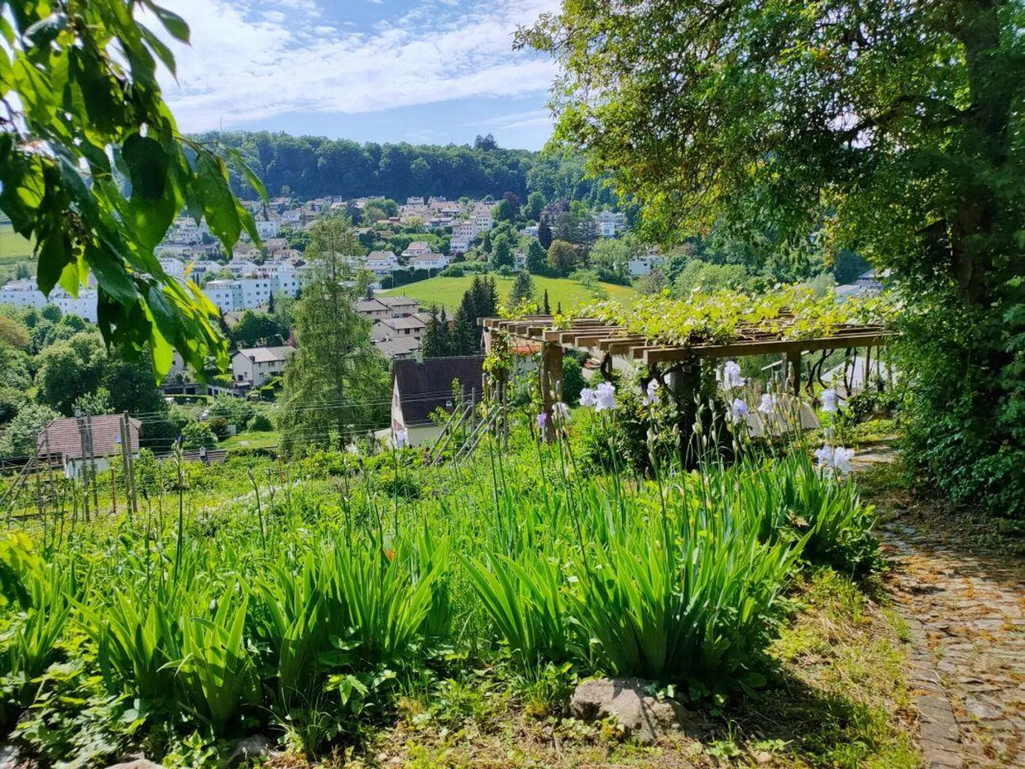 Landhaus mit Charme, Pool und Weitblick - Foto 3 von 12