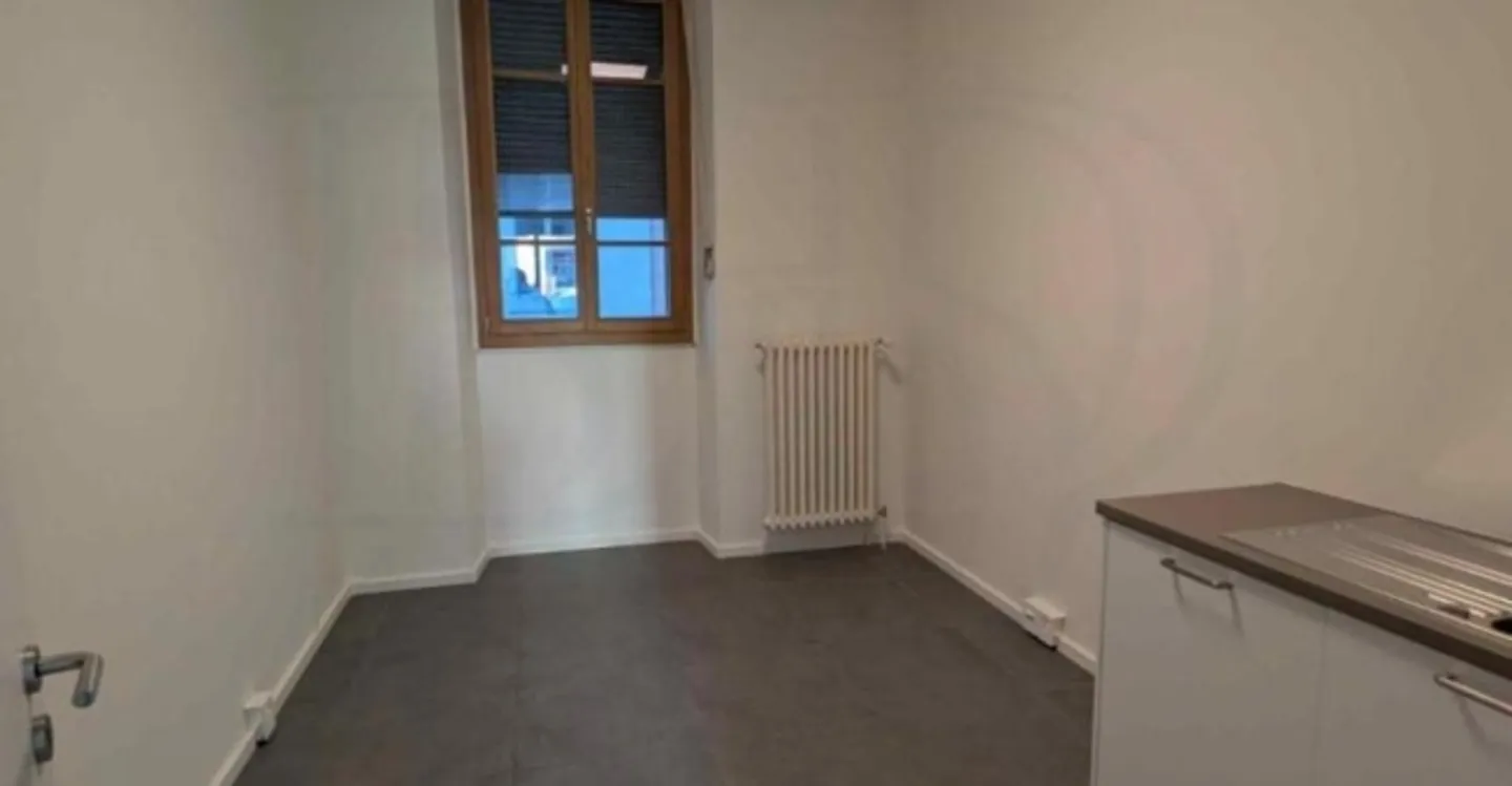 Spazio Commerciale Incantevole a Carouge - Foto 5 di 5