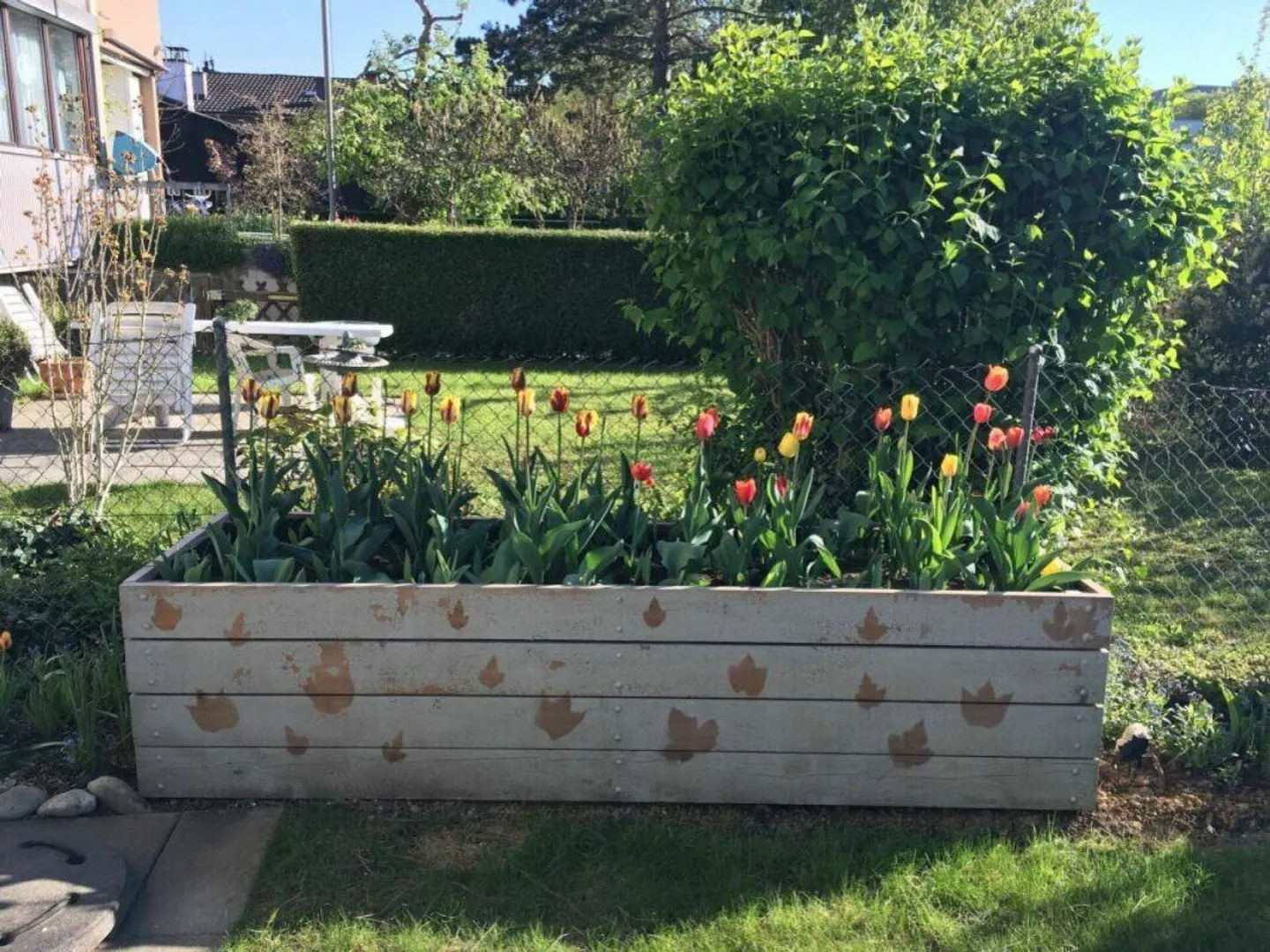 Appartamento 3.5 stanze al piano rialzato - Foto 1 di 9