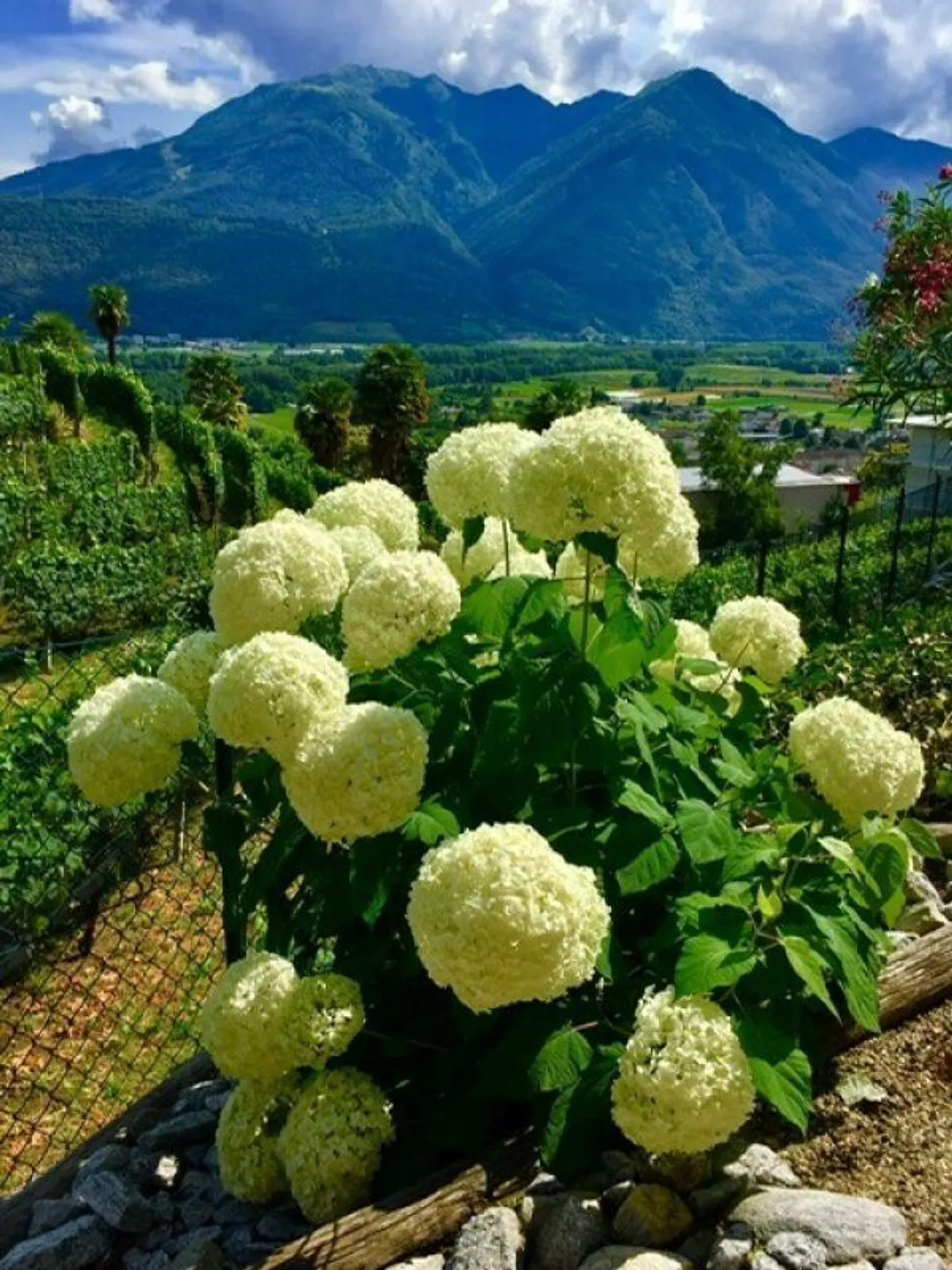 Einzelvilla - Foto 15 von 15