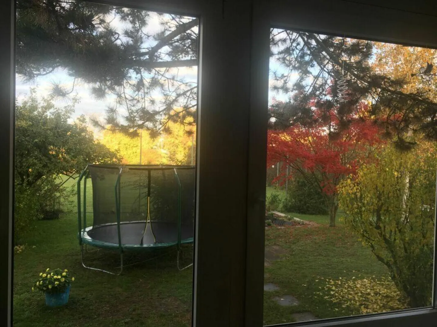 Appartamento 3.5 stanze al piano rialzato - Foto 2 di 9