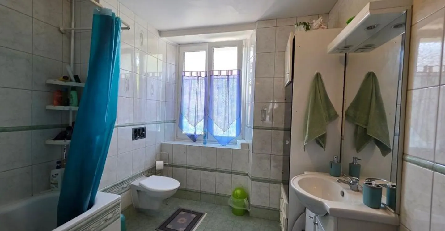 Semi-detached house with two apartments and a terrace - Photo 12 of 13