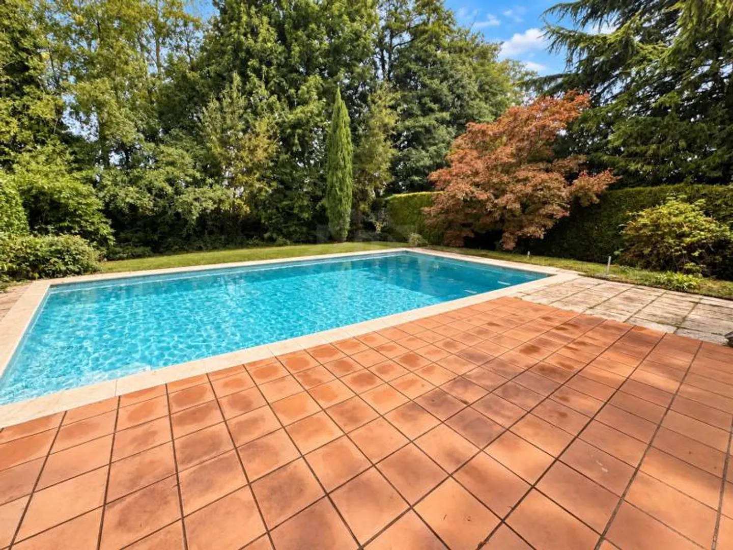 Incantevole Villa A Schiera - Foto 1 di 1