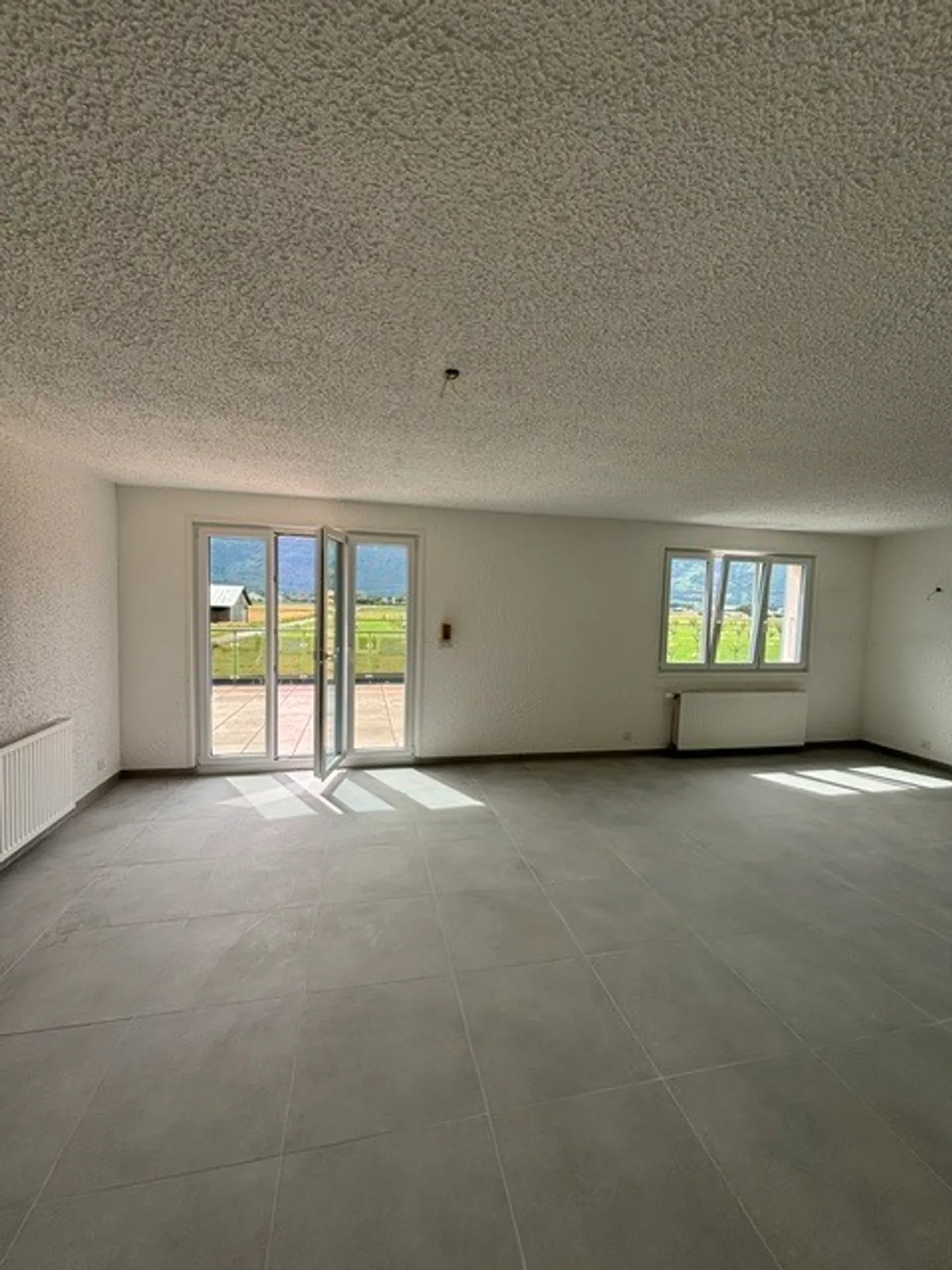 Apartment with a large terrace and view of the Dents-du-Midi - Photo 2 of 10