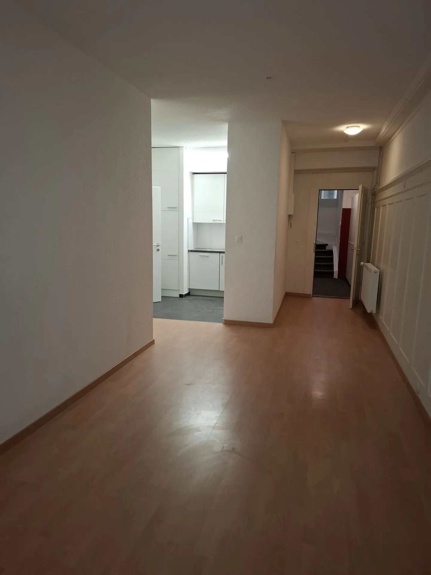 Beautiful renovated 4-room apartment for rent - Photo 5 of 11