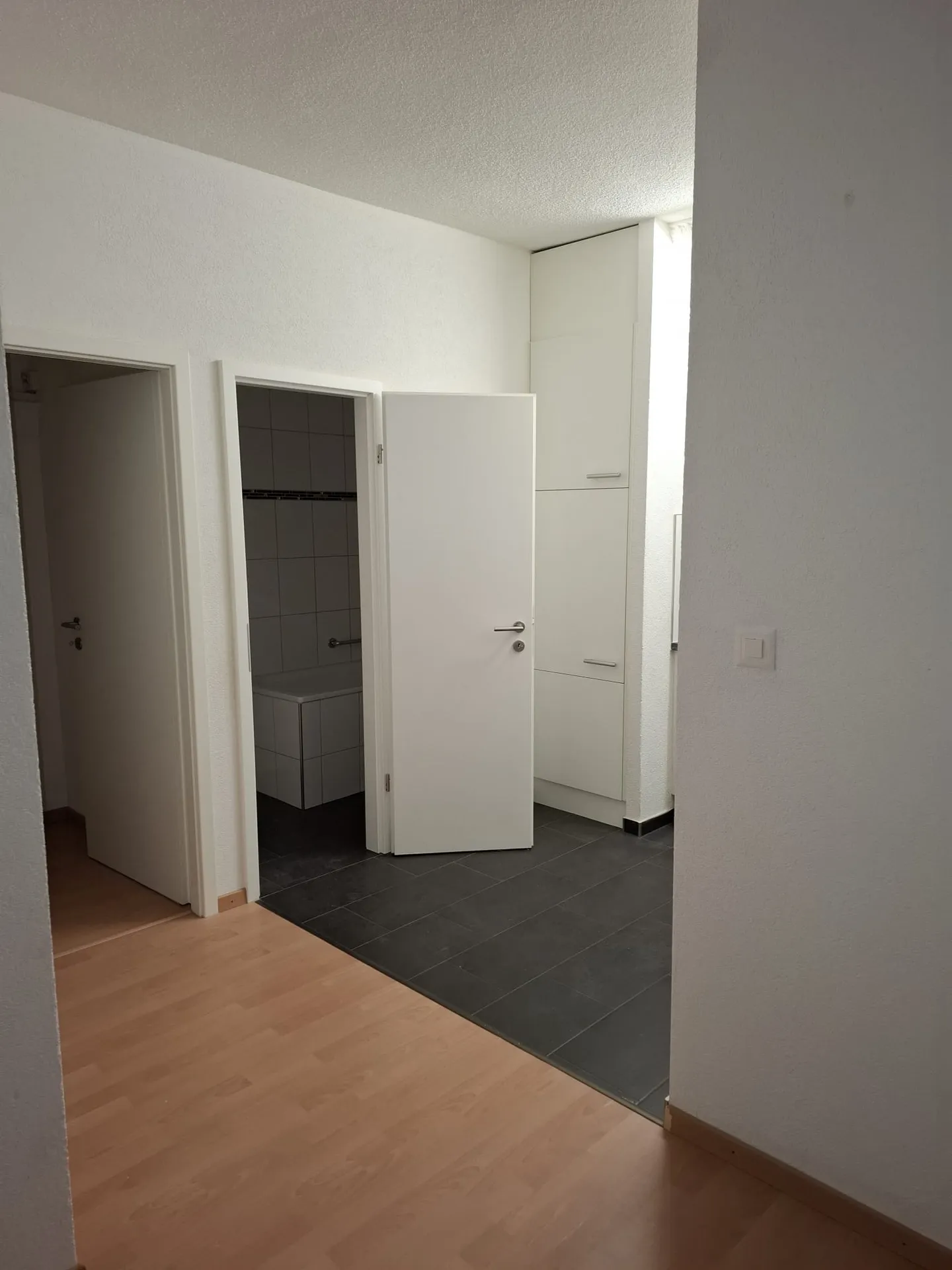 Beautiful renovated 4-room apartment for rent - Photo 6 of 11