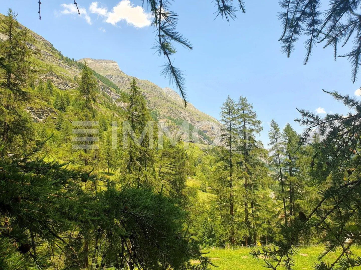 Terreno edificabile accanto alla pista da sci - Foto 5 di 5