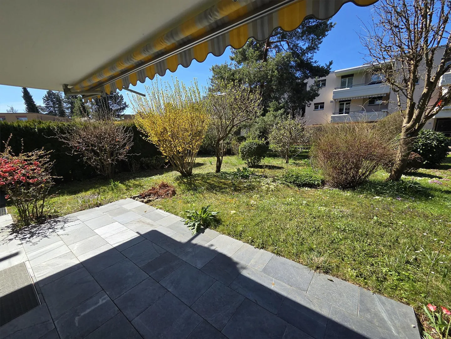 Great Garden Apartment in Küsnacht-Itschnach - Photo 3 of 8