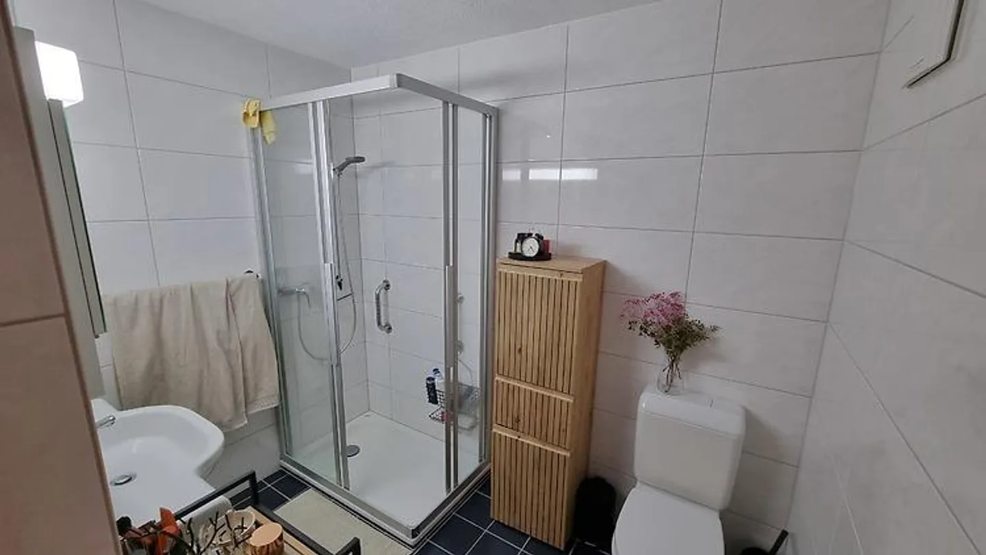 3½ ZI-WOHNUNG IN GOLDAU (SZ), MÖBLIERT, TEMPORÄR - Foto 7 von 10