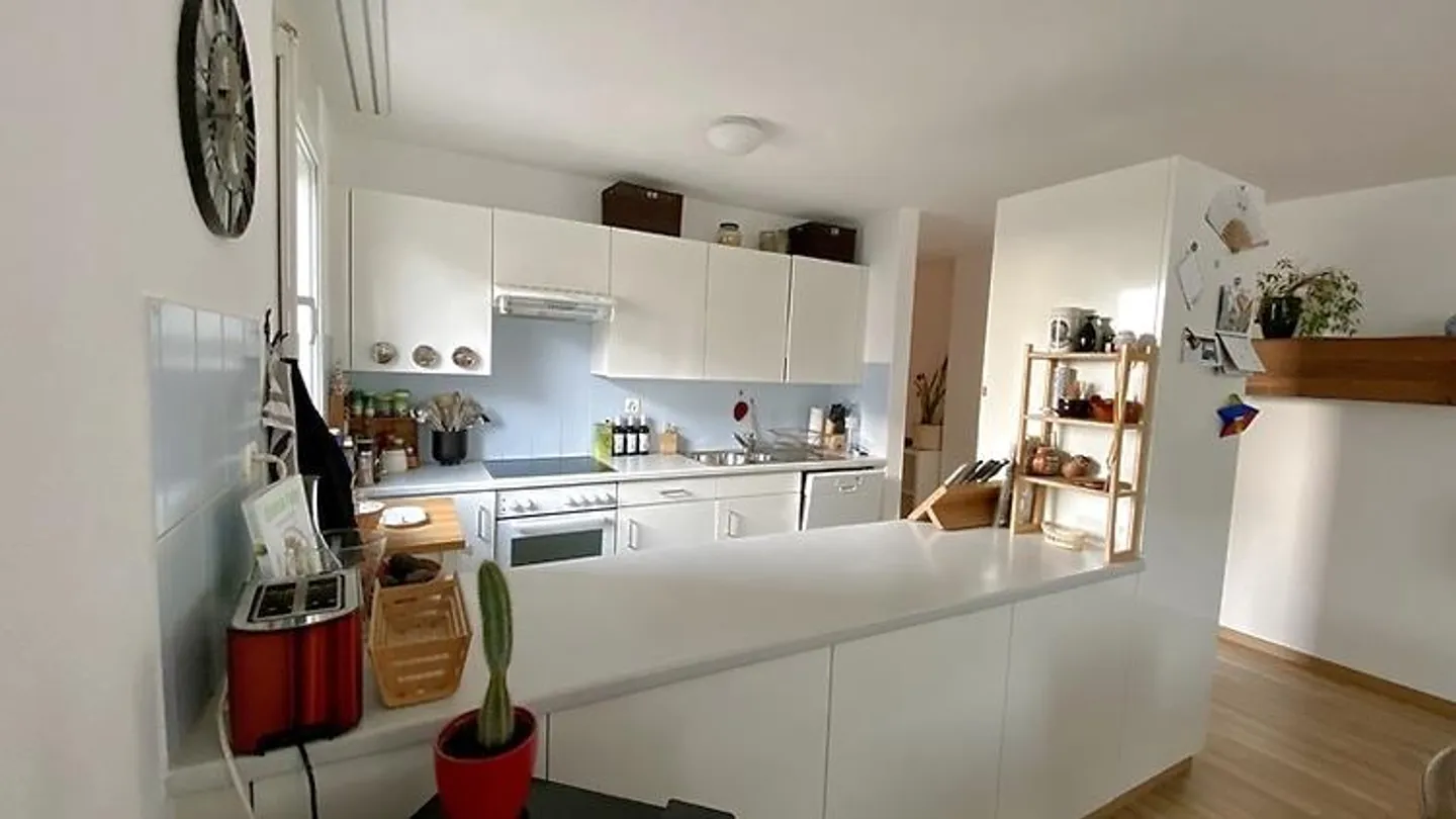 4½ ROOM APARTMENT IN ZURICH - DISTRICT 9 ALTSTETTEN, FURNISHED, TEMPORARY - Photo 6 of 10