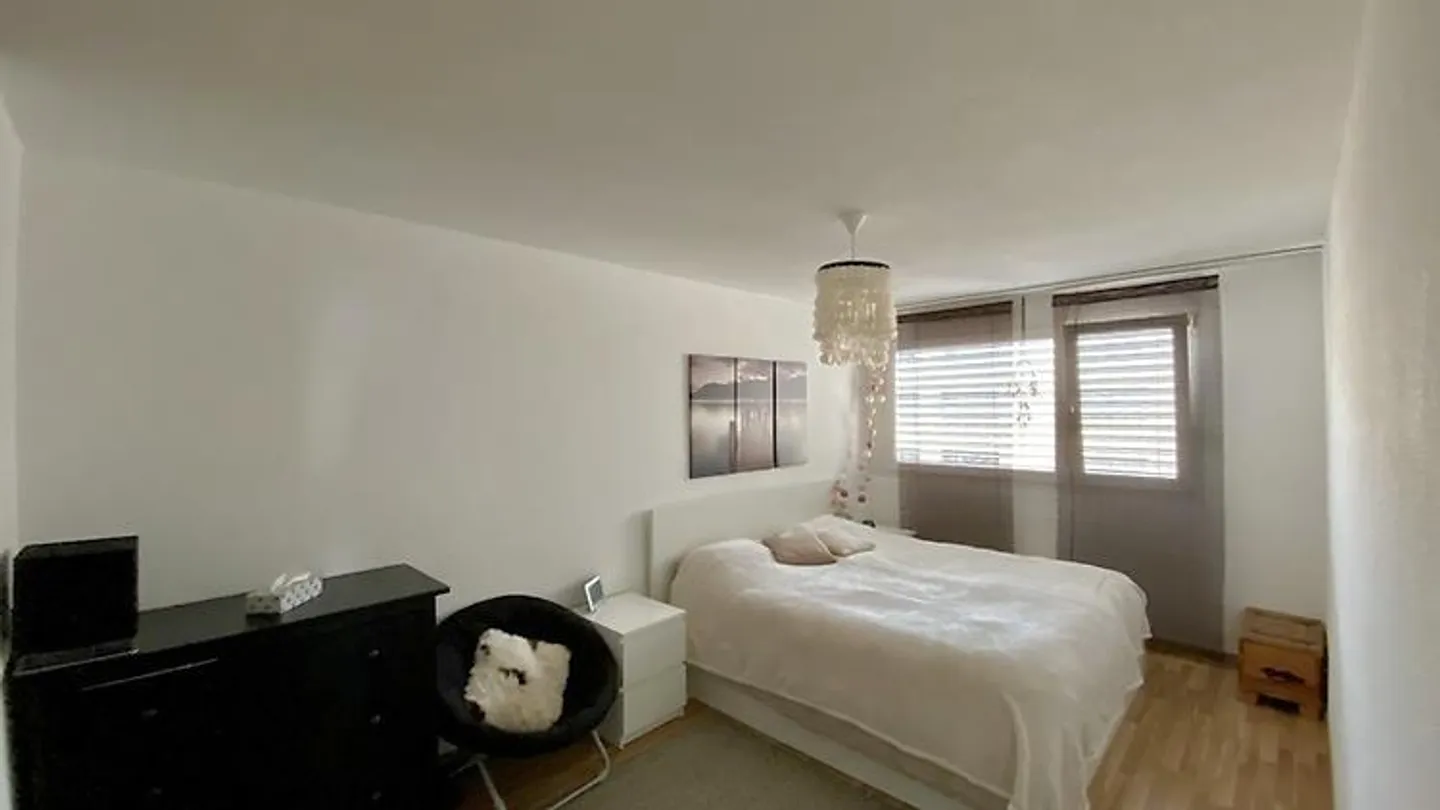 4½ ROOM APARTMENT IN ZURICH - DISTRICT 9 ALTSTETTEN, FURNISHED, TEMPORARY - Photo 7 of 10