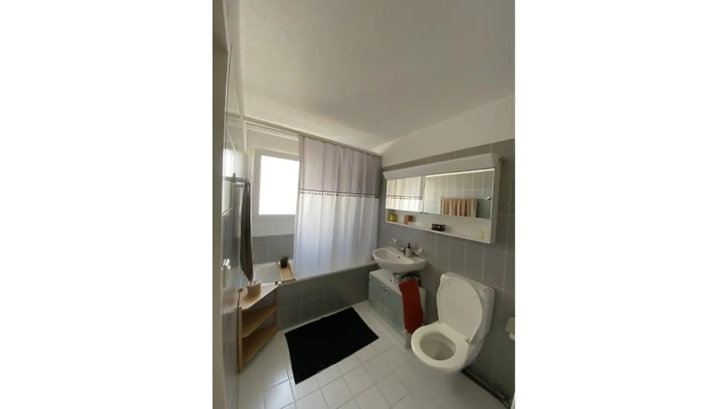 4½ ROOM APARTMENT IN ZURICH - DISTRICT 9 ALTSTETTEN, FURNISHED, TEMPORARY - Photo 8 of 10