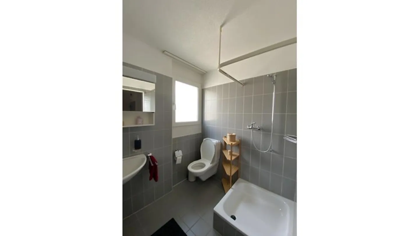 4½ ROOM APARTMENT IN ZURICH - DISTRICT 9 ALTSTETTEN, FURNISHED, TEMPORARY - Photo 9 of 10