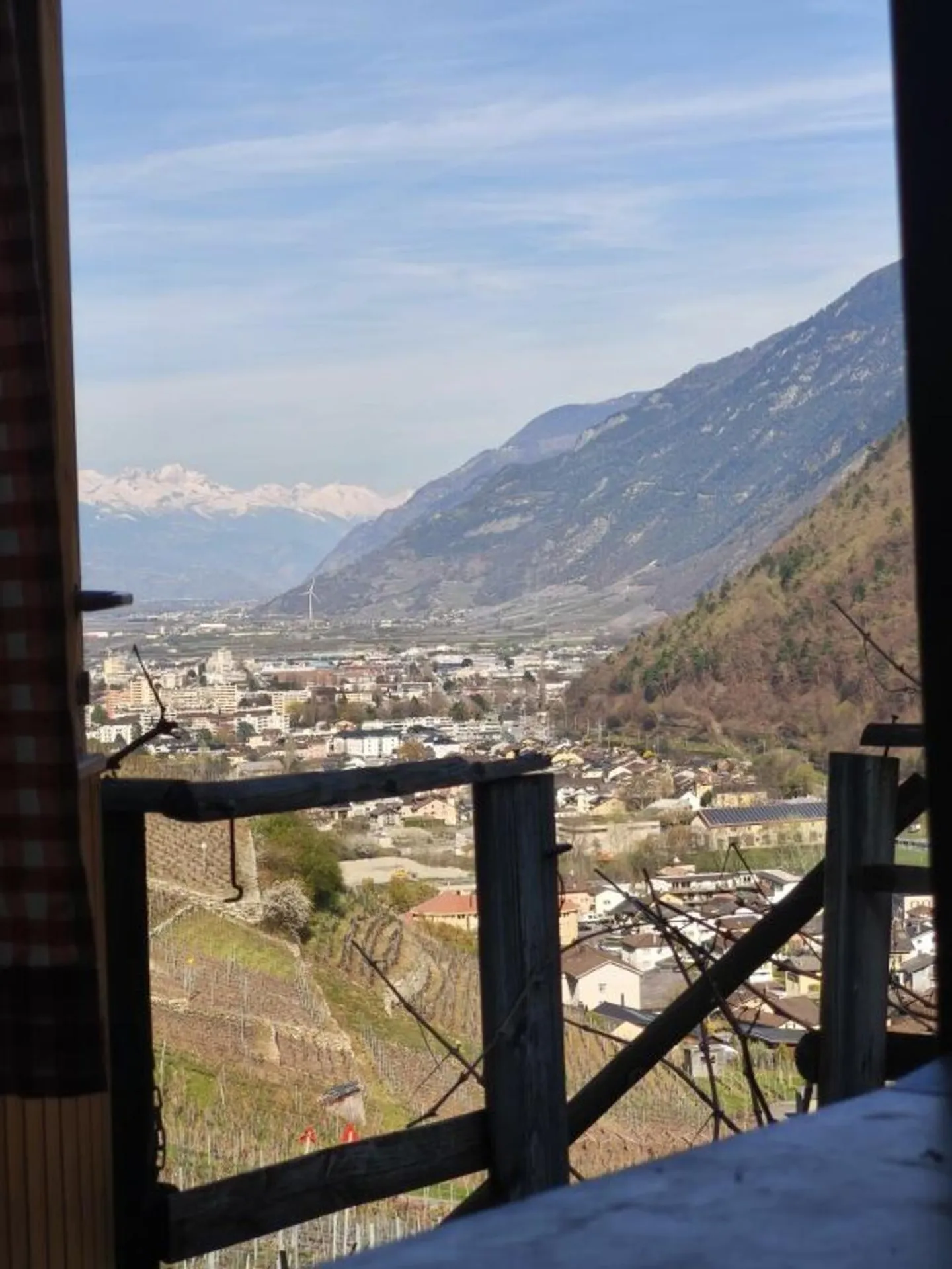 Charmante Kabine in den Reben - Foto 2 von 5