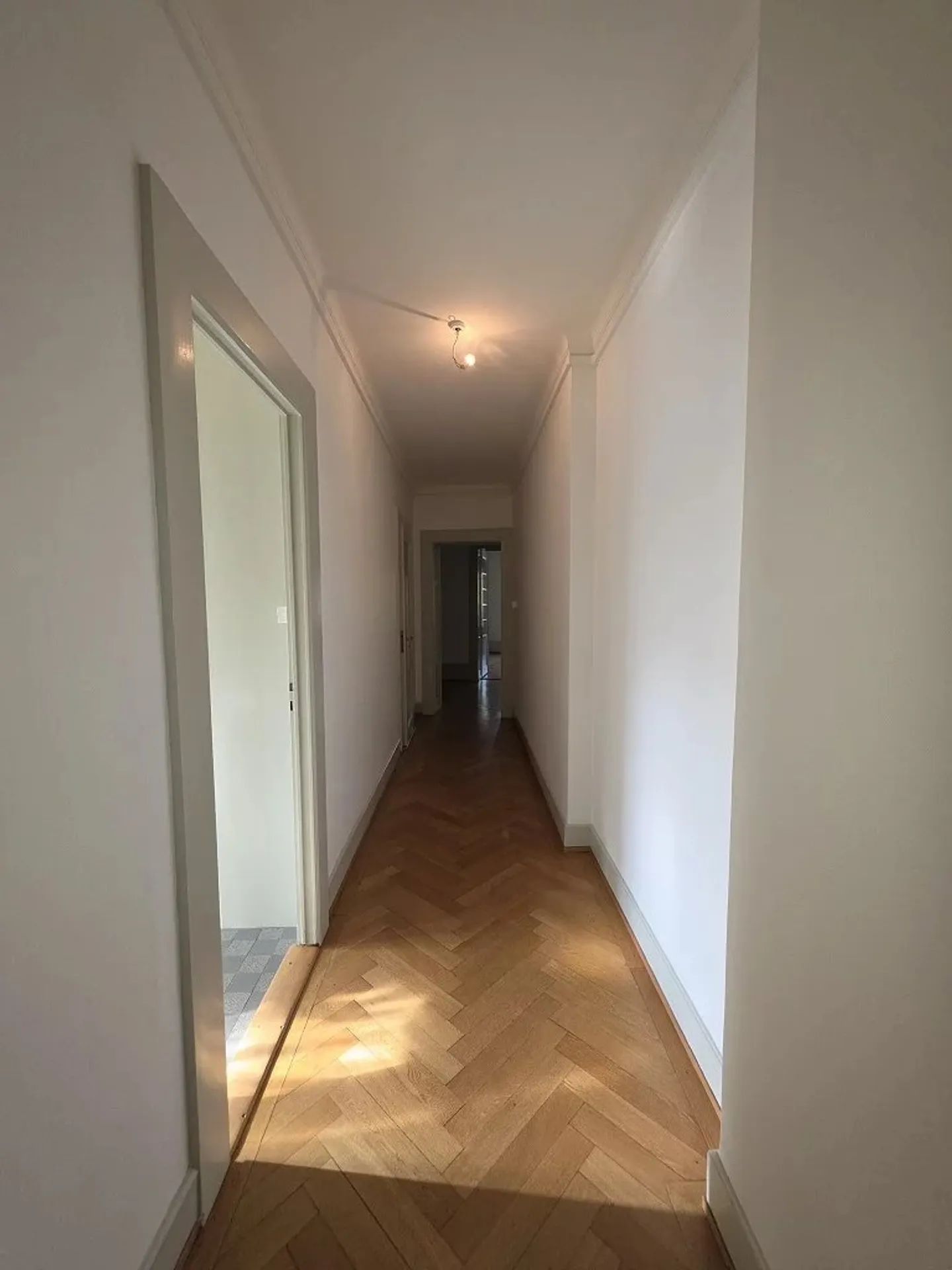 Spacious Apartment in Sécheron - Photo 1 of 11