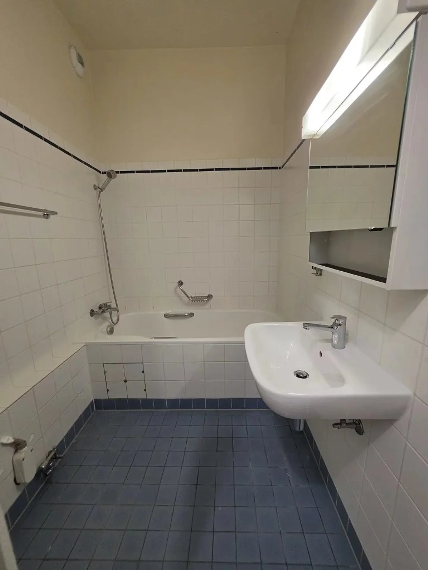 Spacious Apartment in Sécheron - Photo 9 of 11