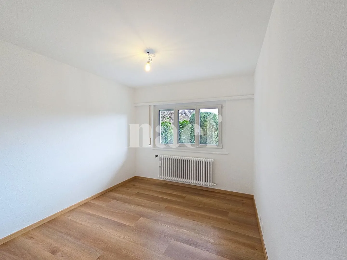 Room 1 - Photo 2 of 3