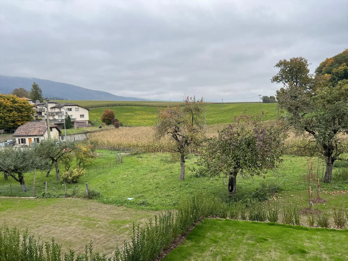 Appartamento 3.5 stanze - Foto 14 di 17