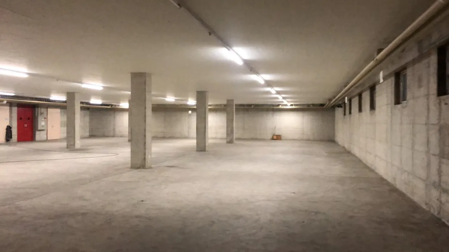 Storage space in the basement - Photo 1 of 7