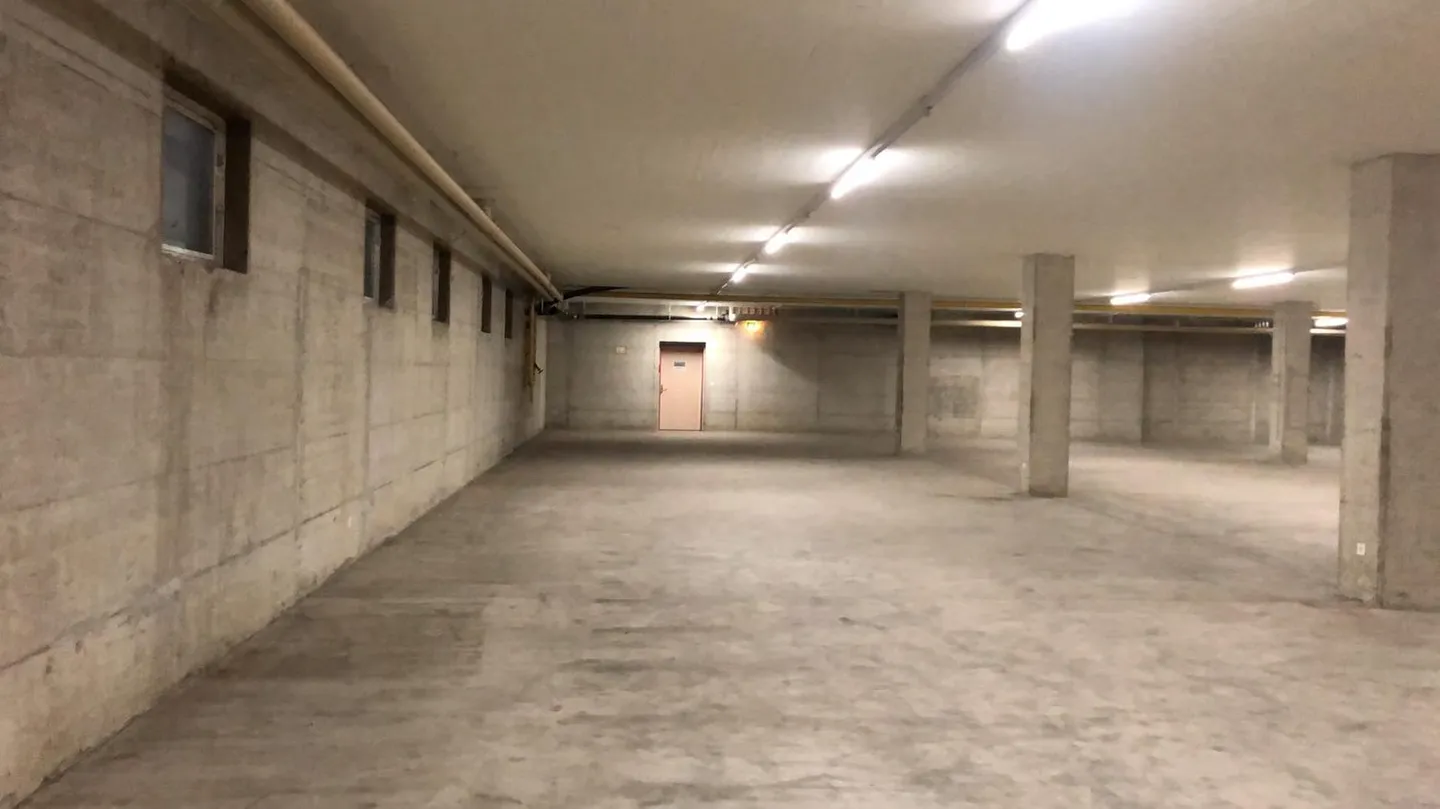 Storage space in the basement - Photo 4 of 7