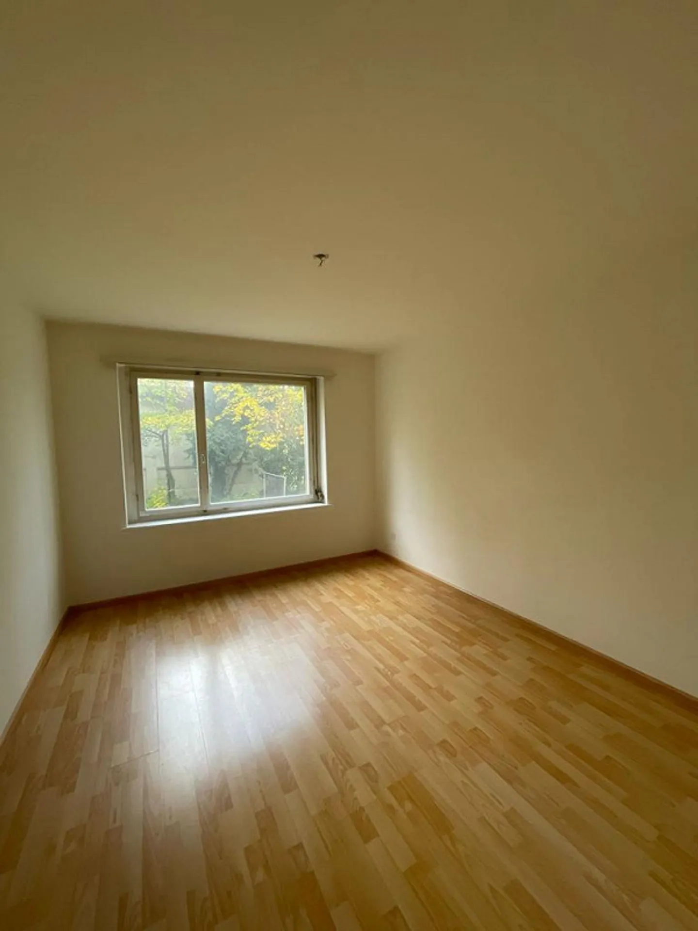 Helle Wohnung unmittelbar beim Bahnhof SBB - Photo 5 sur 7