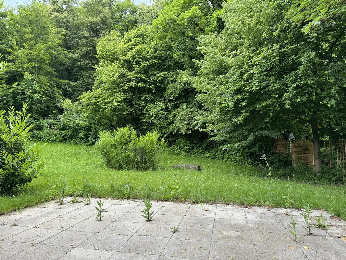 Cercasi nuovo inquilino per appartamento con giardino di 3,5 stanze a Rüschlikon - Foto 1 di 9