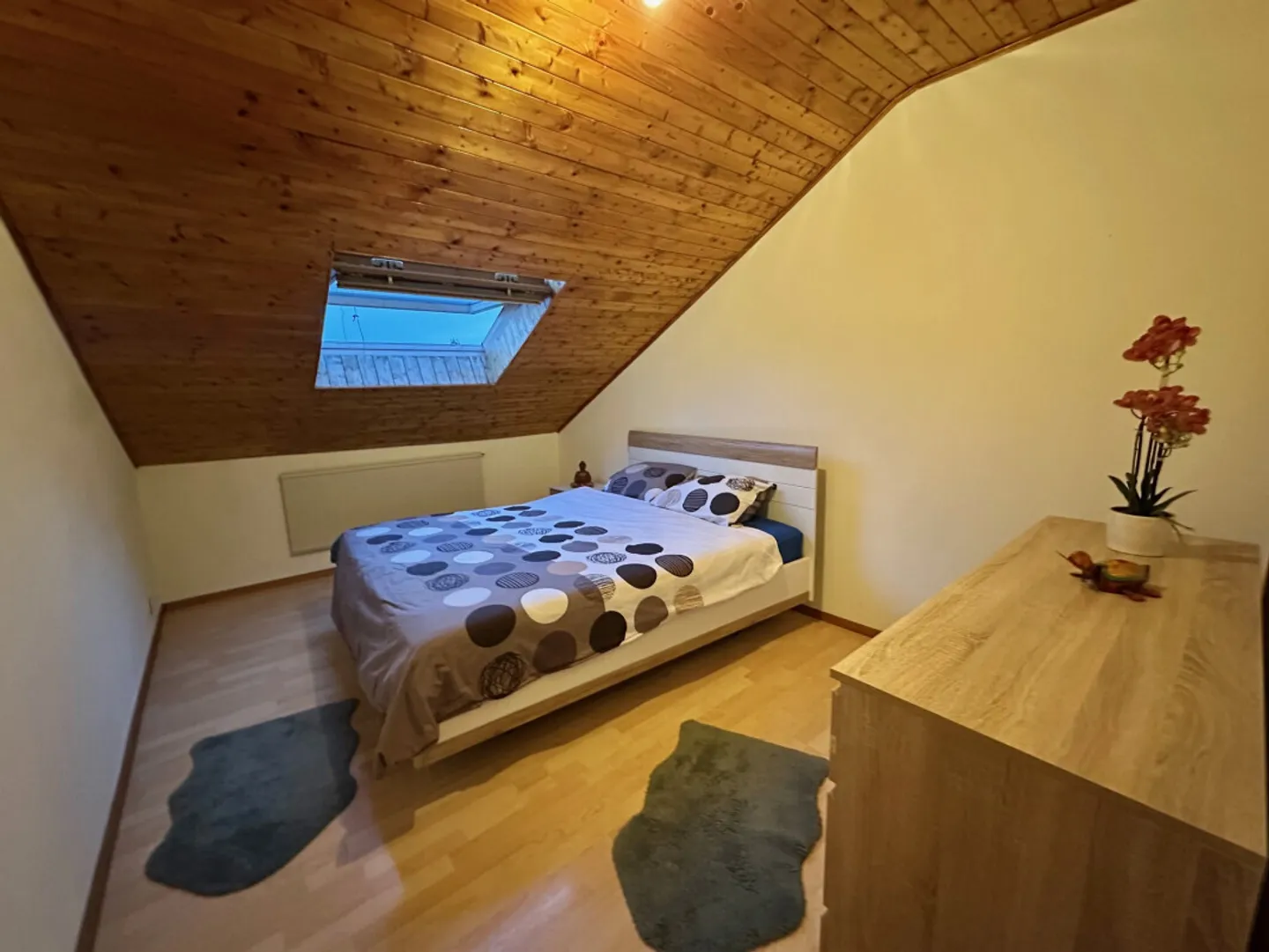 Studio in affitto - Foto 2 di 4