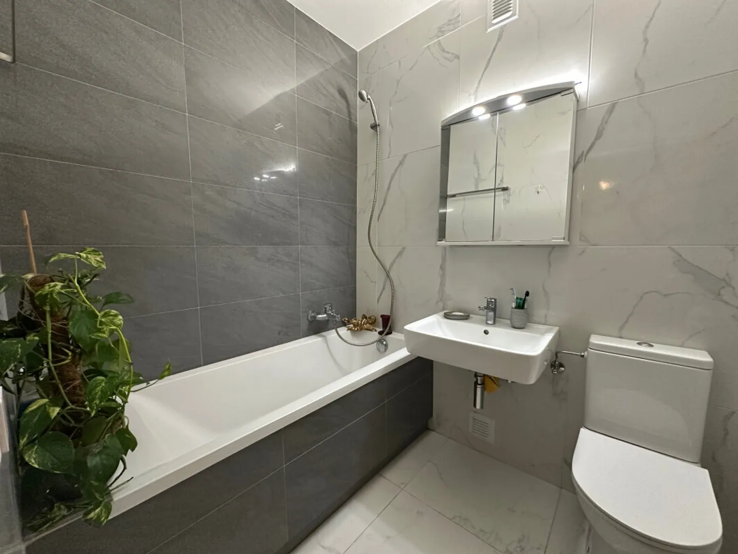 Studio in affitto - Foto 4 di 4