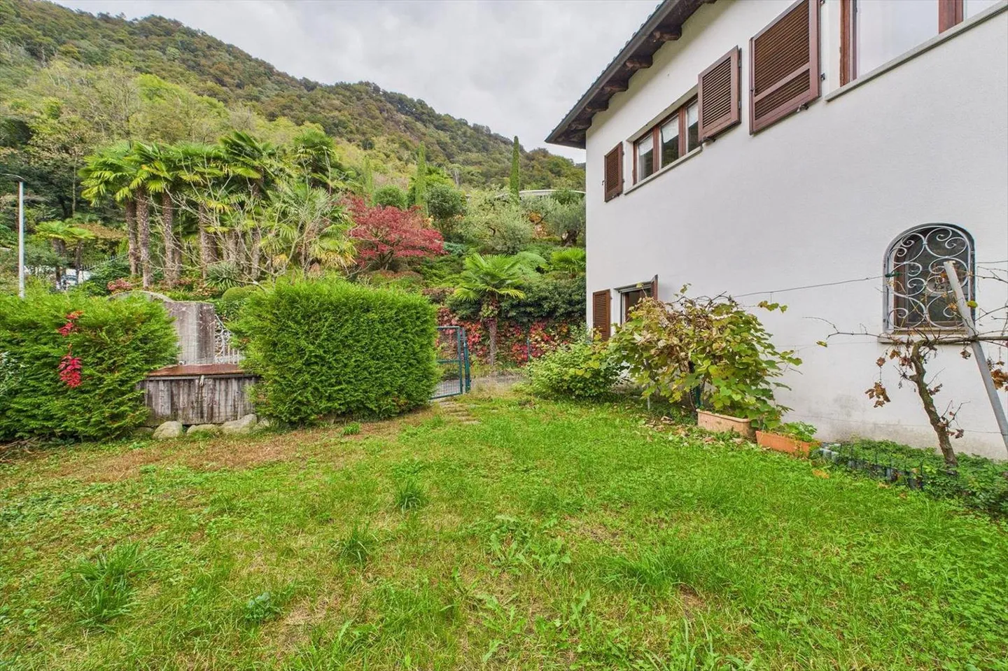 Morcote - 3,5 pièces avec vue imprenable et jardin - Photo 4 sur 13